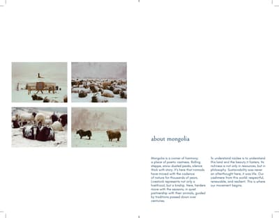Spread titled "about mongolia" with four snowy photos of a felt tent, sheep and shaggy cattle