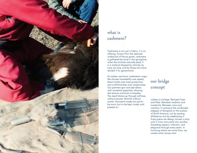 Spread titled "what is cashmere?" and "our bridge concept" with an overhead photo of a person combing a dark, long-haired animal