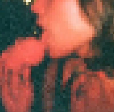Pixelated close-up of skin in coral-red light against dark teal; subject hard to read