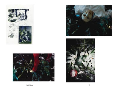 Four-image spread: collage, masked face in dark foliage, red-tighted legs, monstera leaves and pomegranate